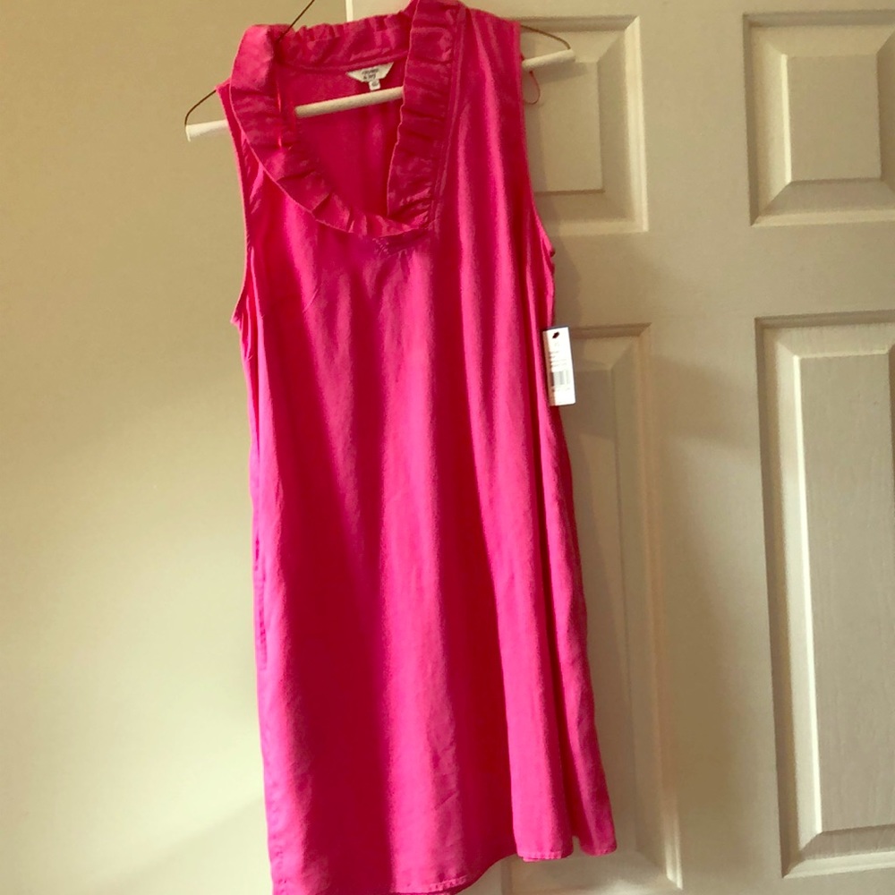 Pink Crown and Ivy Dress